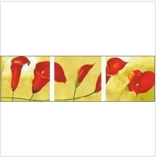 Izšuvumi Pakete, Augstākās Kvalitātes Cross Stitch Komplekti Bezmaksas Piegāde 3 Gabali Triple Sarkanā Lilija Zieds
