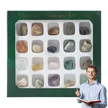 Minerālu Identifikācijas Komplekts Rock Kolekcijas Kastē 20 Gab Minerālu Paraugu Geosciences Nozares