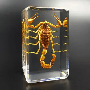 Nekustamā Dabas Kukaiņu Paraugu Dzintara Spider Vabole Scorpion Kulons pārredzamu Sveķu jūras dzīvnieku īpatņus Kukaiņu Mācību dāvanu